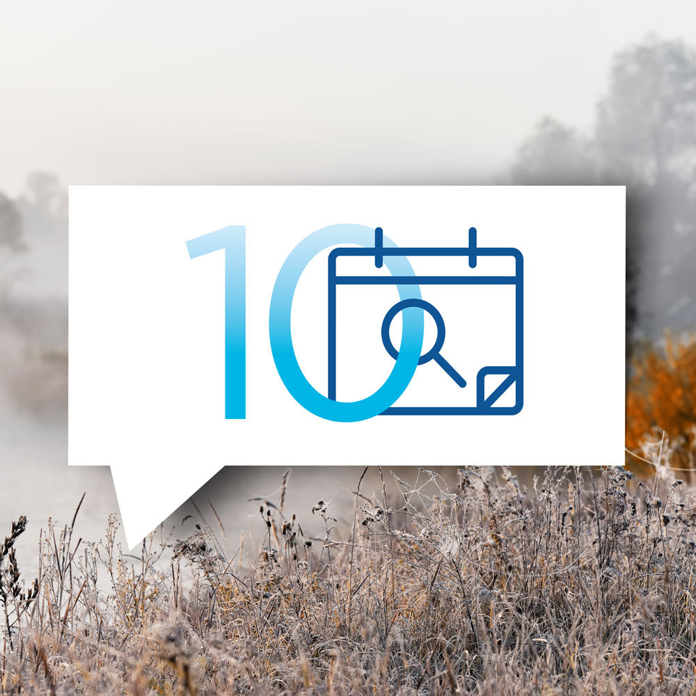 blauteich-ratgeber-10-wichtigsten-teicharbeiten-im-november
