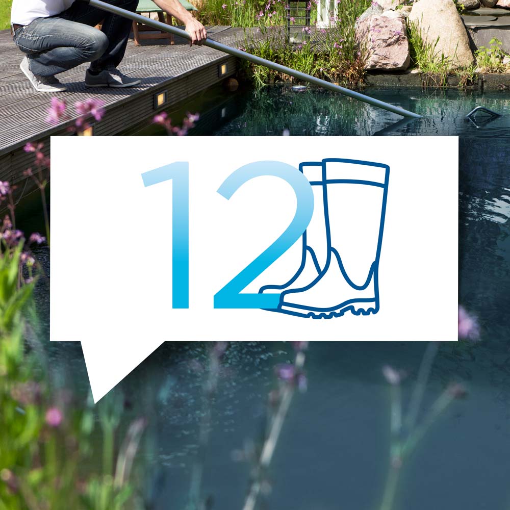 blauteich-ratgeber-12-goldene-regeln-der-teichreinigung