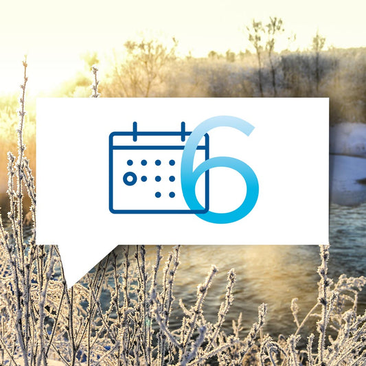 blauteich-ratgeber-6-wichtigsten-teicharbeiten-im-februar
