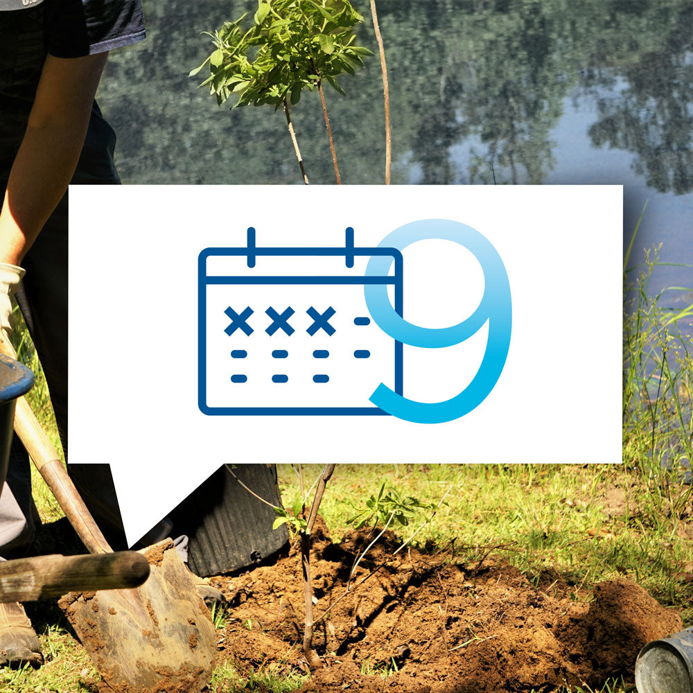 blauteich-ratgeber-9-wichtigsten-teicharbeiten-im-september