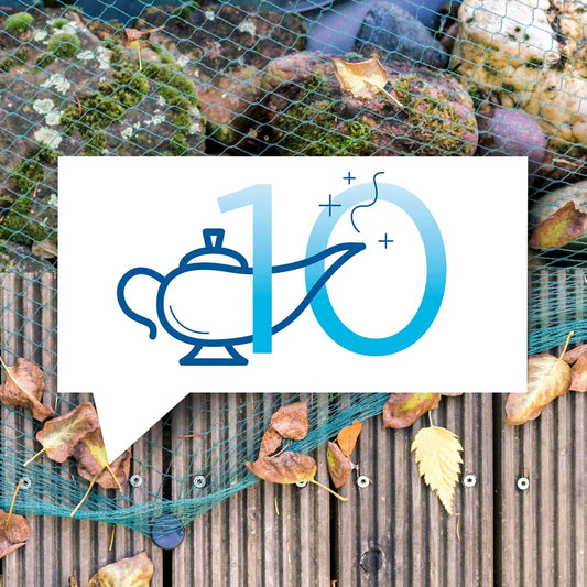 blauteich-ratgeber-die-10-groessten-mythen-um-gartenteiche-und-deren-pflege