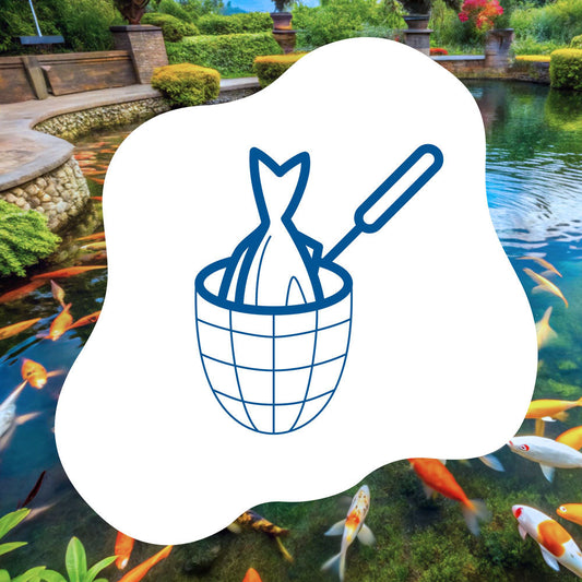 blauteich-ratgeber-fischbestand-im-teich-reduzieren-tipps-und-methoden