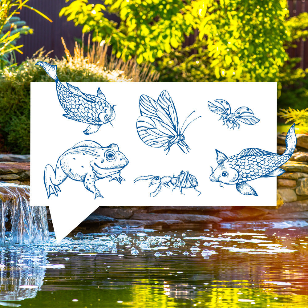 blauteich-ratgeber-lebewesen-im-teich-diese-tiere-leben-im-und-am-gartenteich