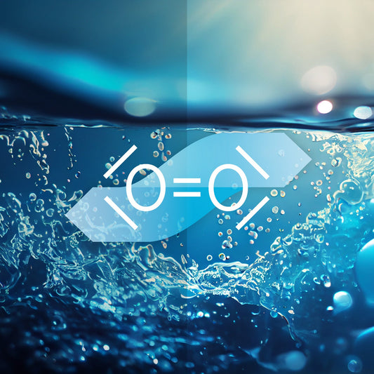 blauteich-ratgeber-sauerstoffmangel-im-teich