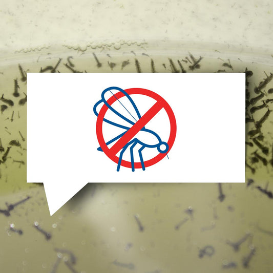 blauteich-ratgeber-schaedlinge-im-teich-so-schuetzen-sie-ihre-pflanzen-und-fische-2