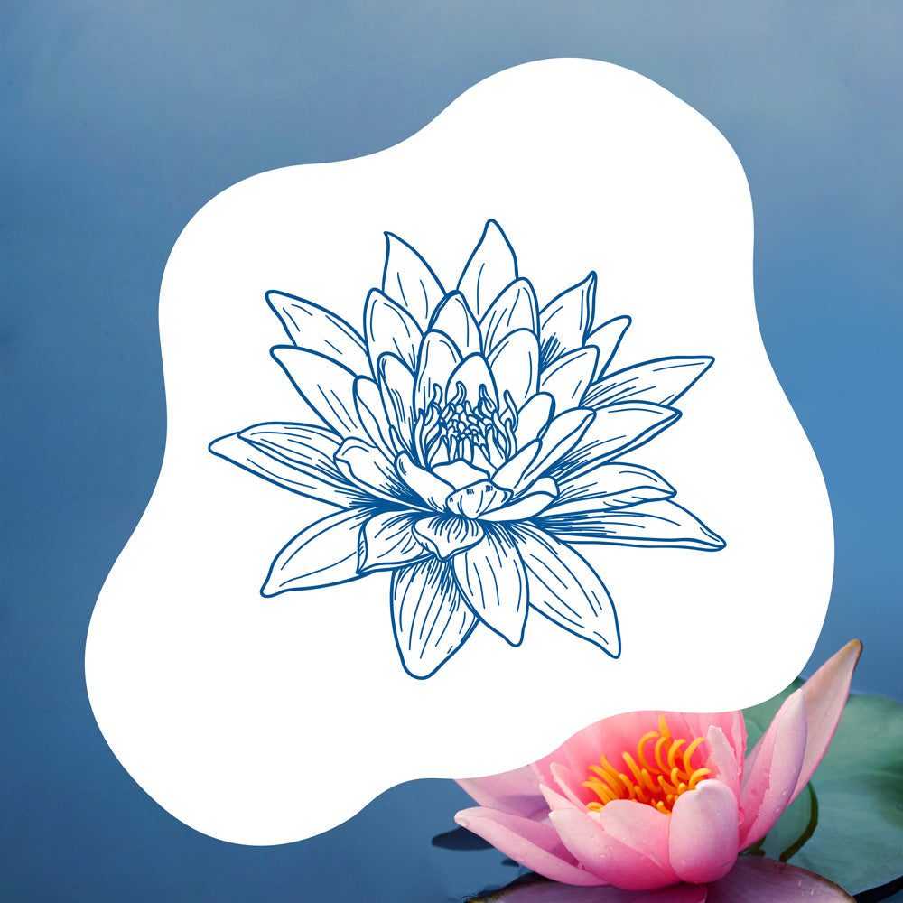 blauteich-ratgeber-seerosen-im-gartenteich-pflanzen