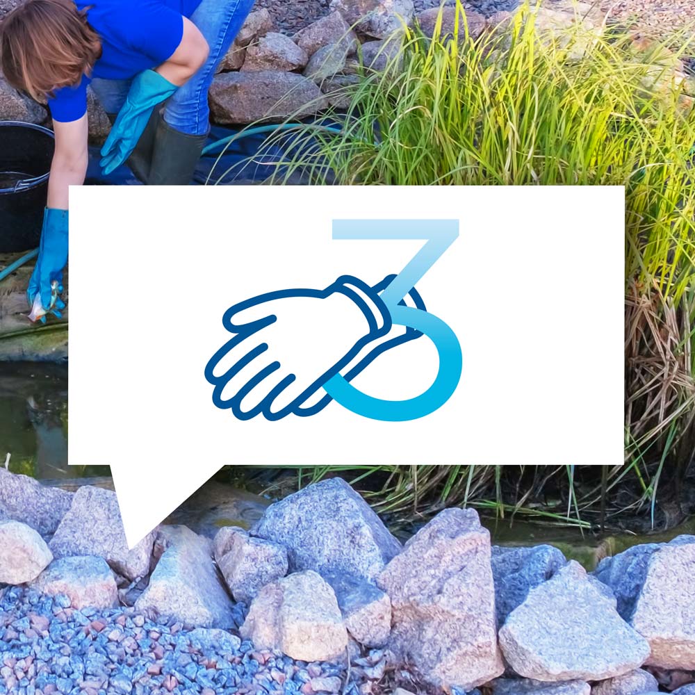 blauteich-ratgeber-teich-pflege-3-schritte