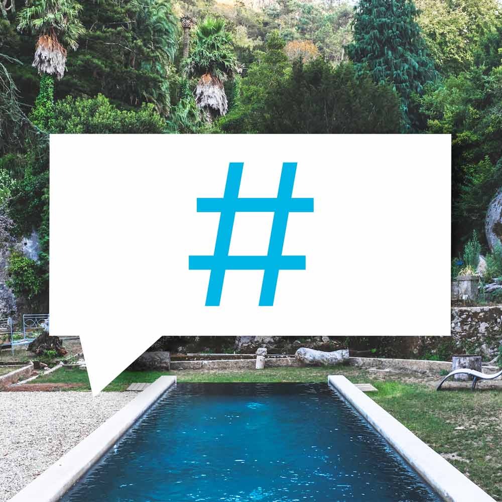 blauteich-ratgeber-teich-trends-2020