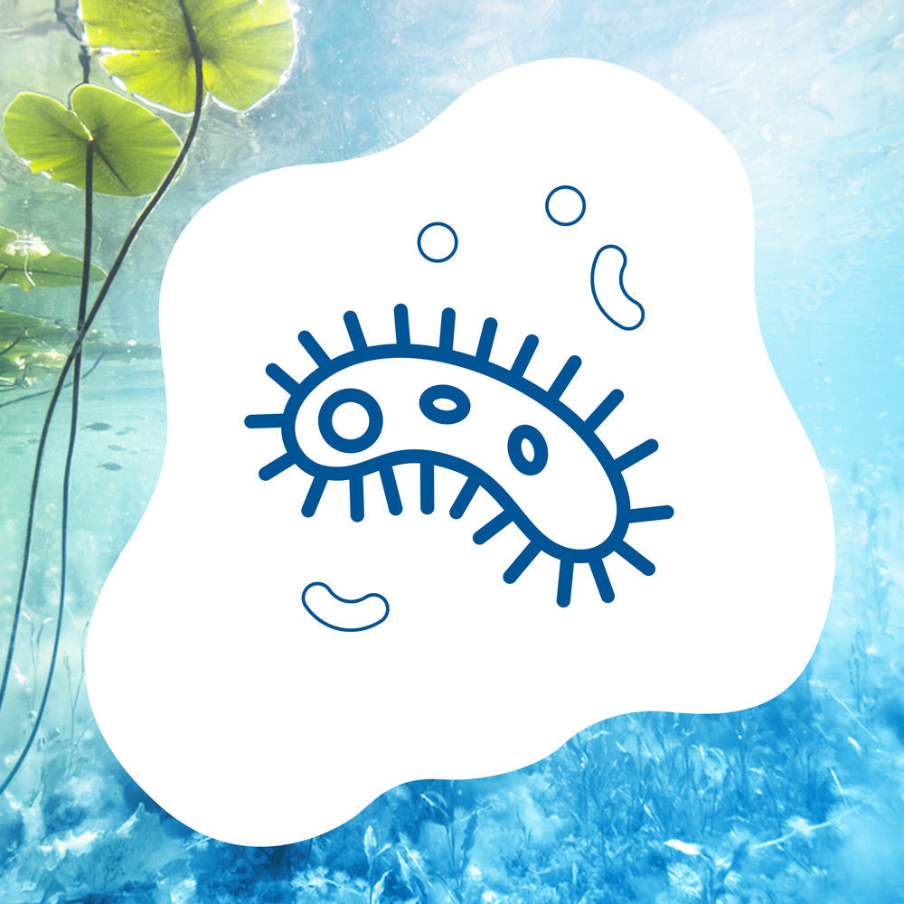 blauteich-ratgeber-teichfilter-bakterien-zur-biologischen-wasserreinigung