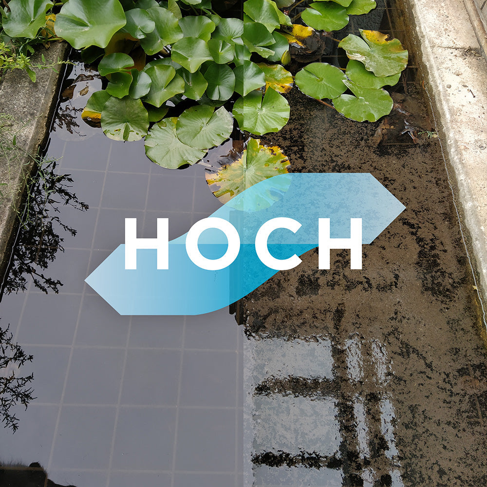 blauteich-ratgeber-teichschlamm-entfernen-ohne-teichschlammsauger