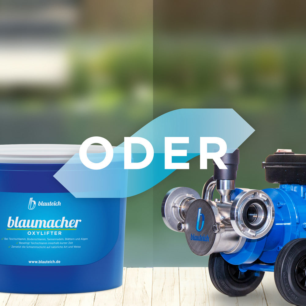 blauteich-ratgeber-teichschlammentferner-oder-teichschlammsauger