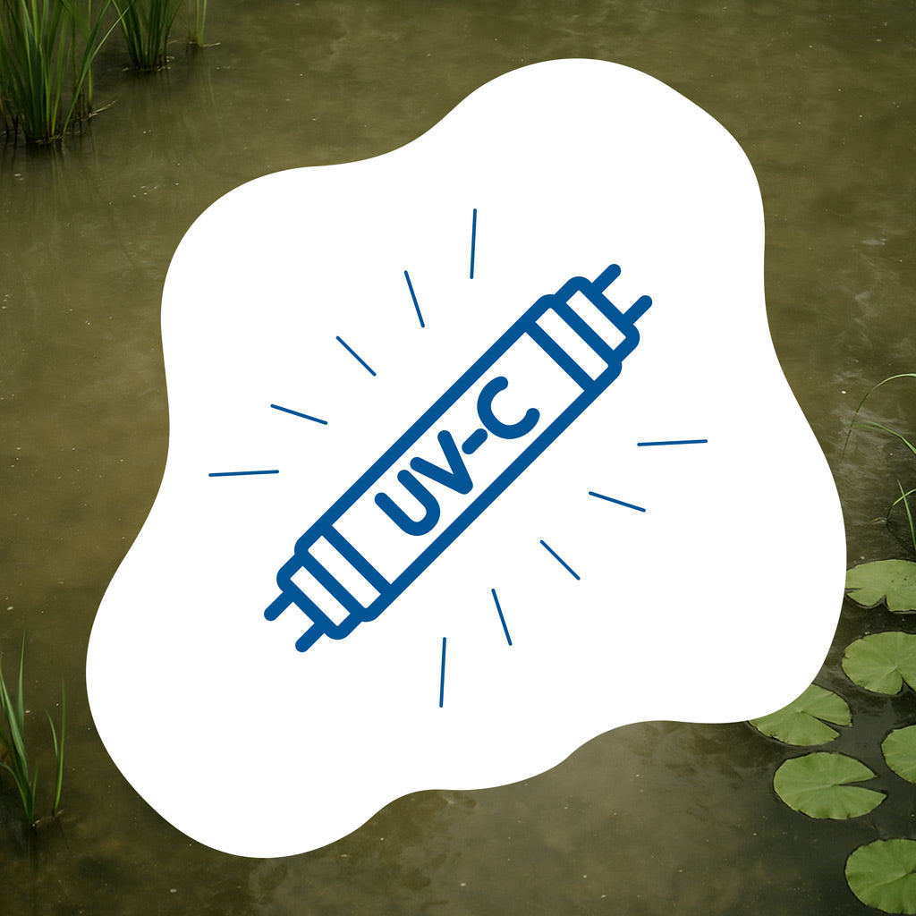 Trotz UVC kein klares Wasser: Fehlerquellen, richtige Auslegung und was wirklich hilft