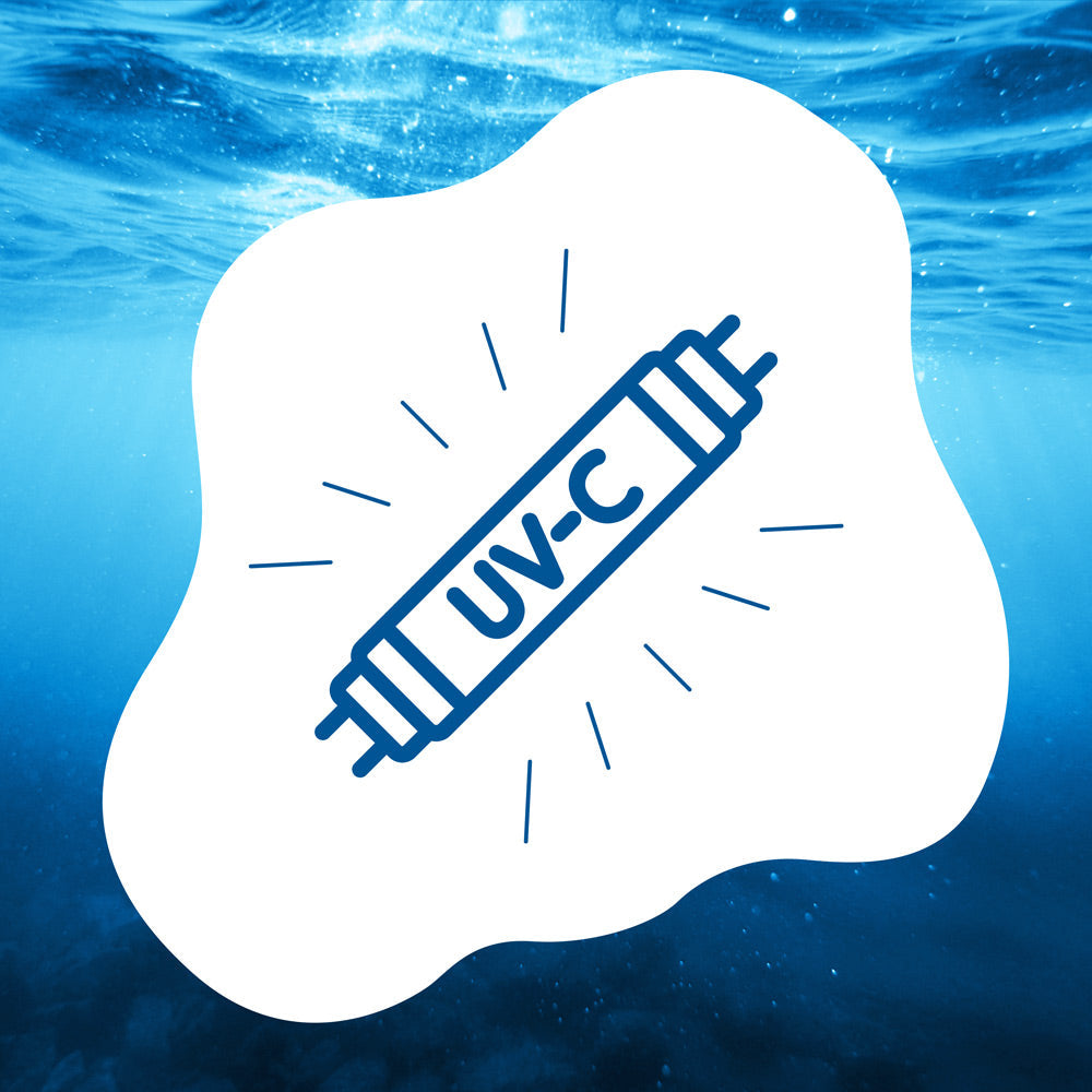 blauteich-ratgeber-uv-c-lampe-fuer-sauberes-teichwasser