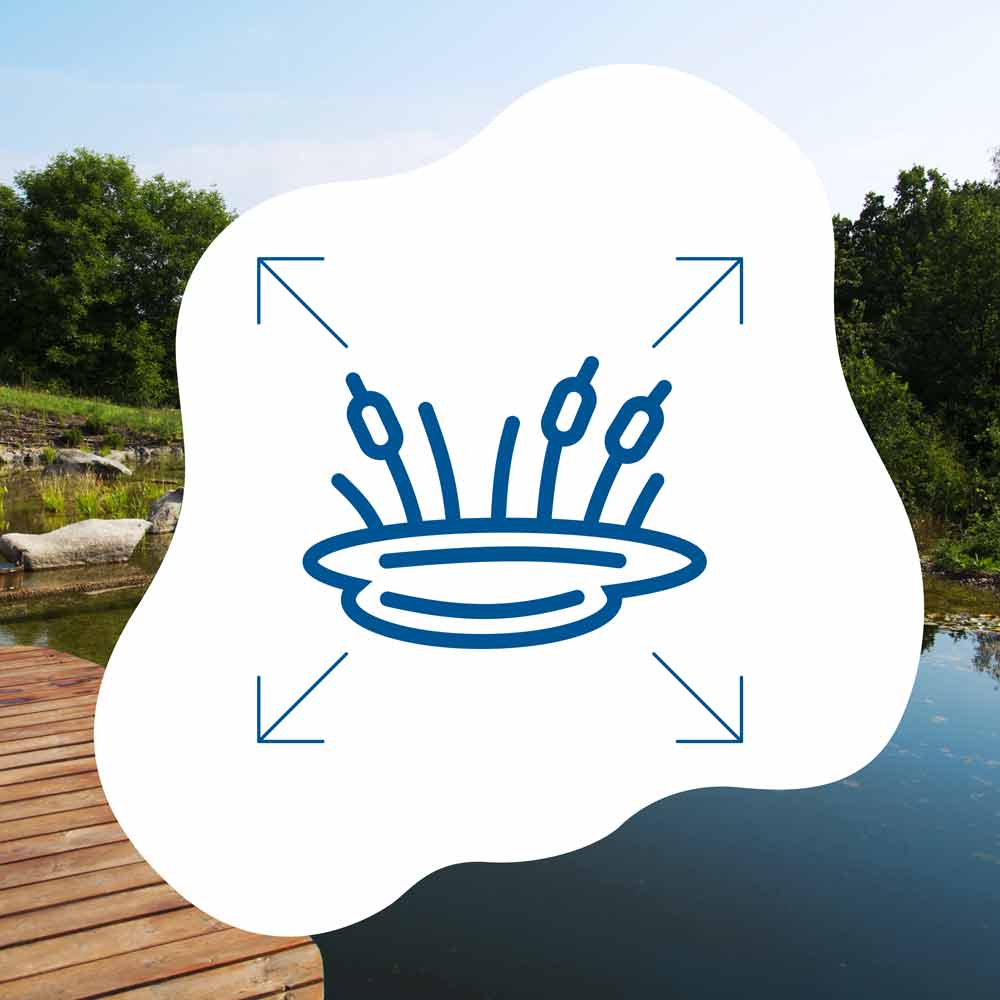 blauteich-ratgeber-wie-gross-muss-ein-schwimmteich-mindestens-sein
