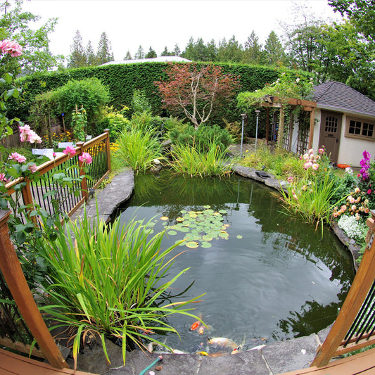 einen-gartenteich-anlegen-wie-geht-das-01