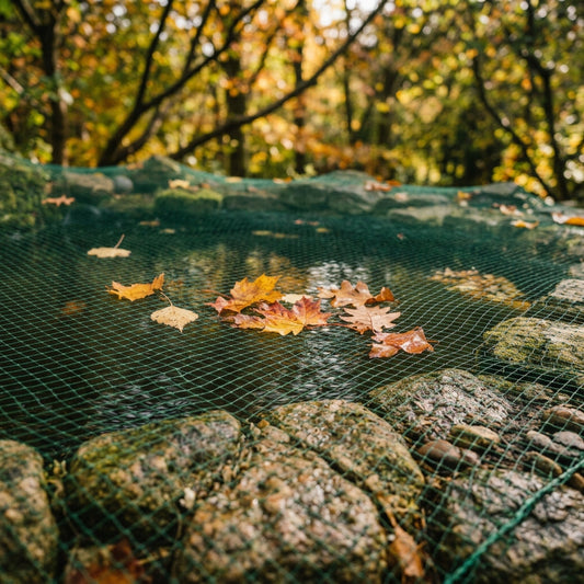 Laubnetz über dem Gartenteich im Herbst – Schutz vor Laubeintrag