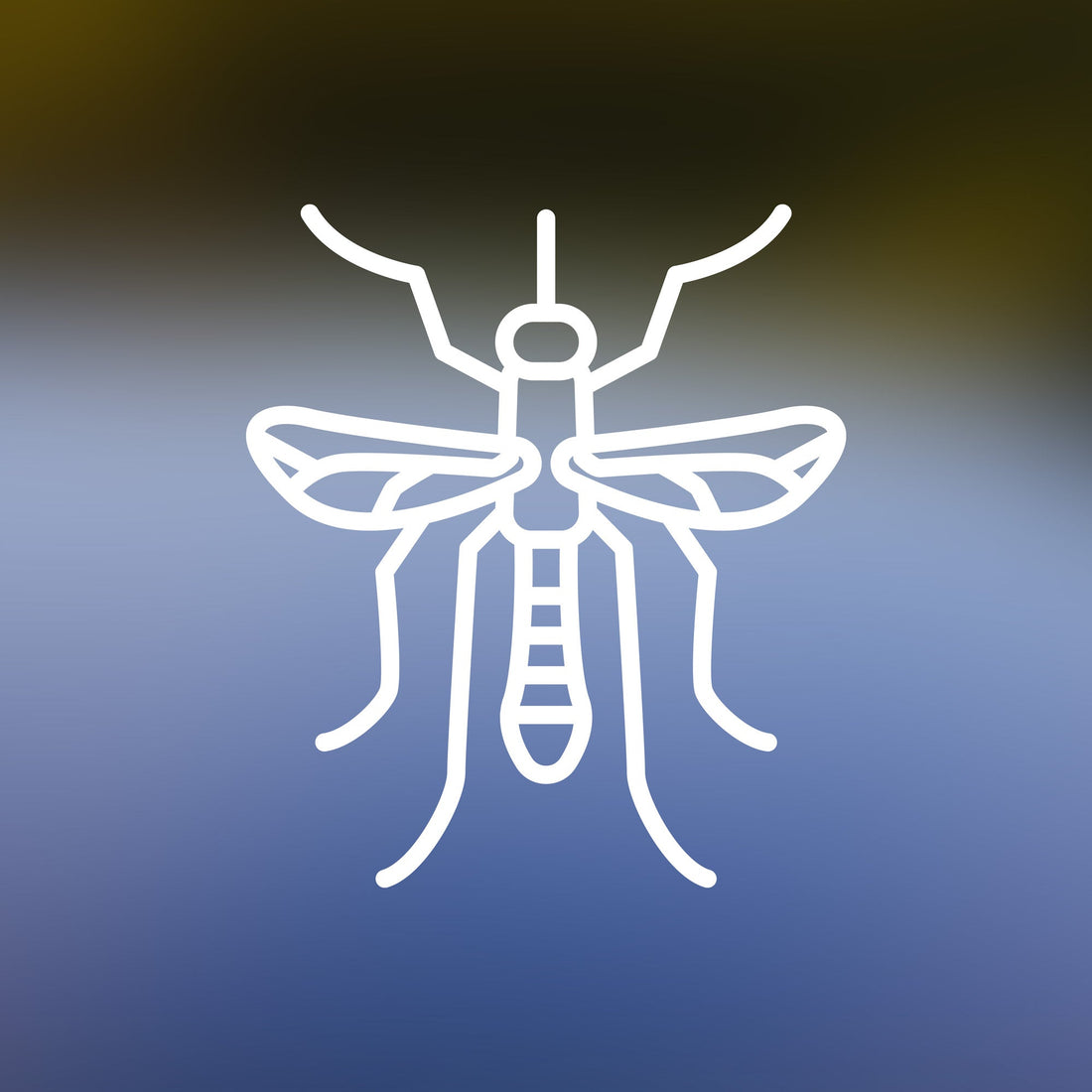 mueckenlarven-im-gartenteich-muecken-im-teich-bekaempfen