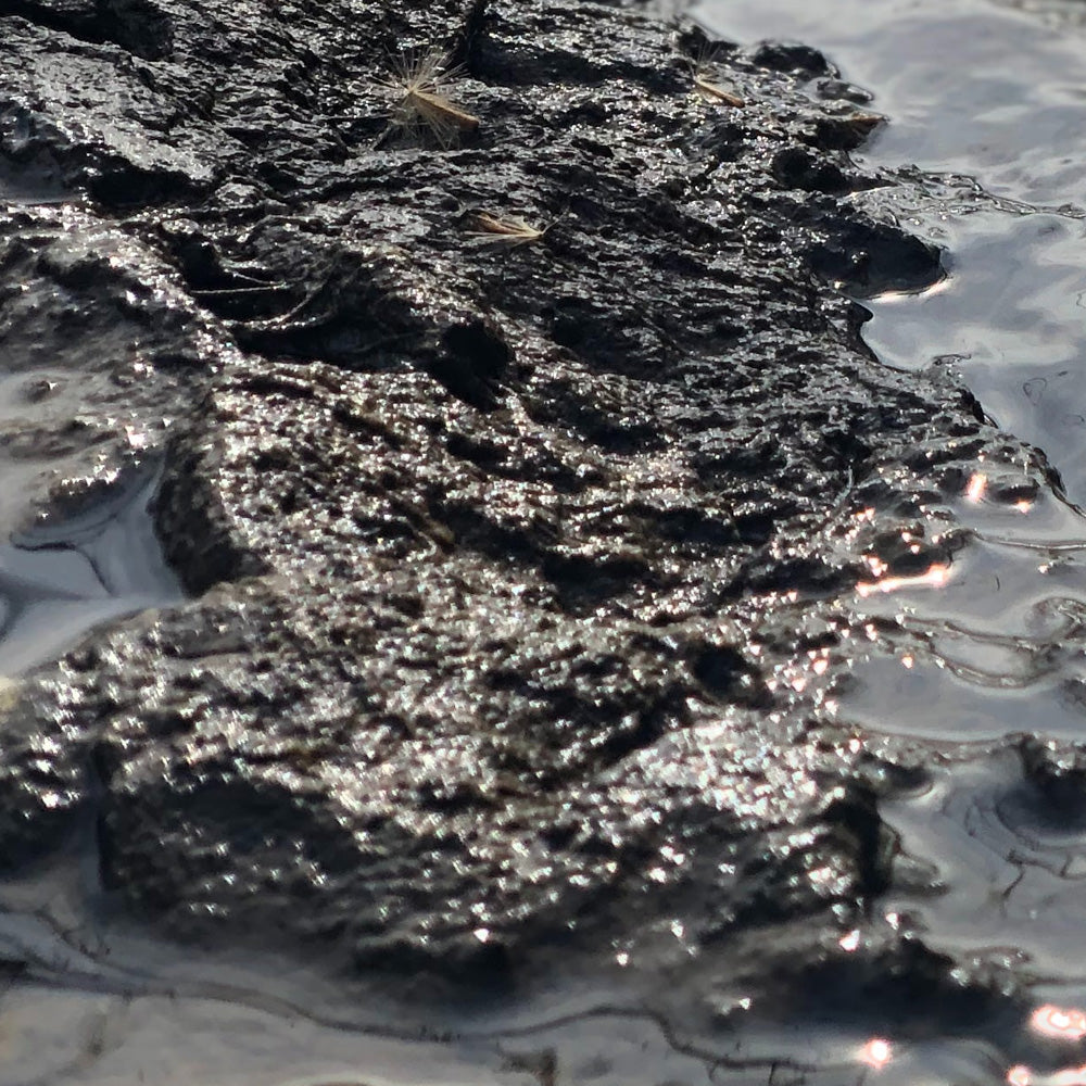 wohin-mit-dem-abgepumpten-teichschlamm