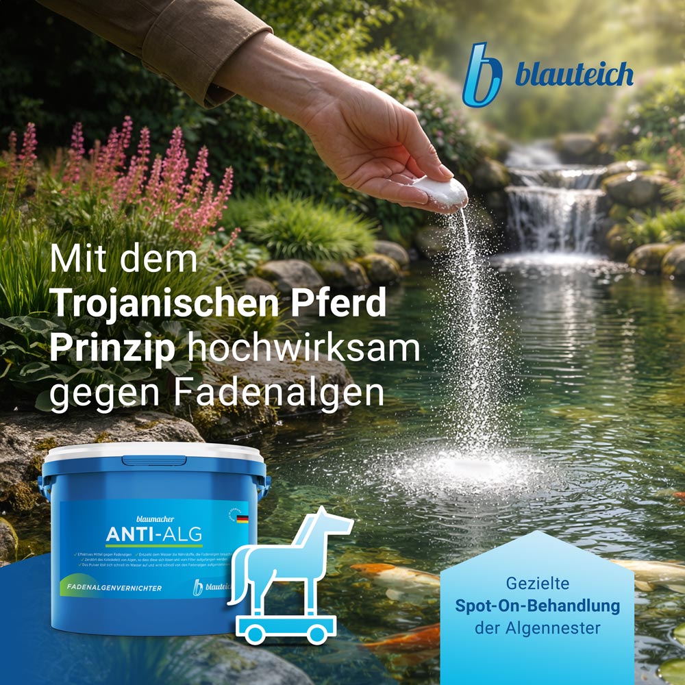 blauteich-anti-alg-0-keyfact