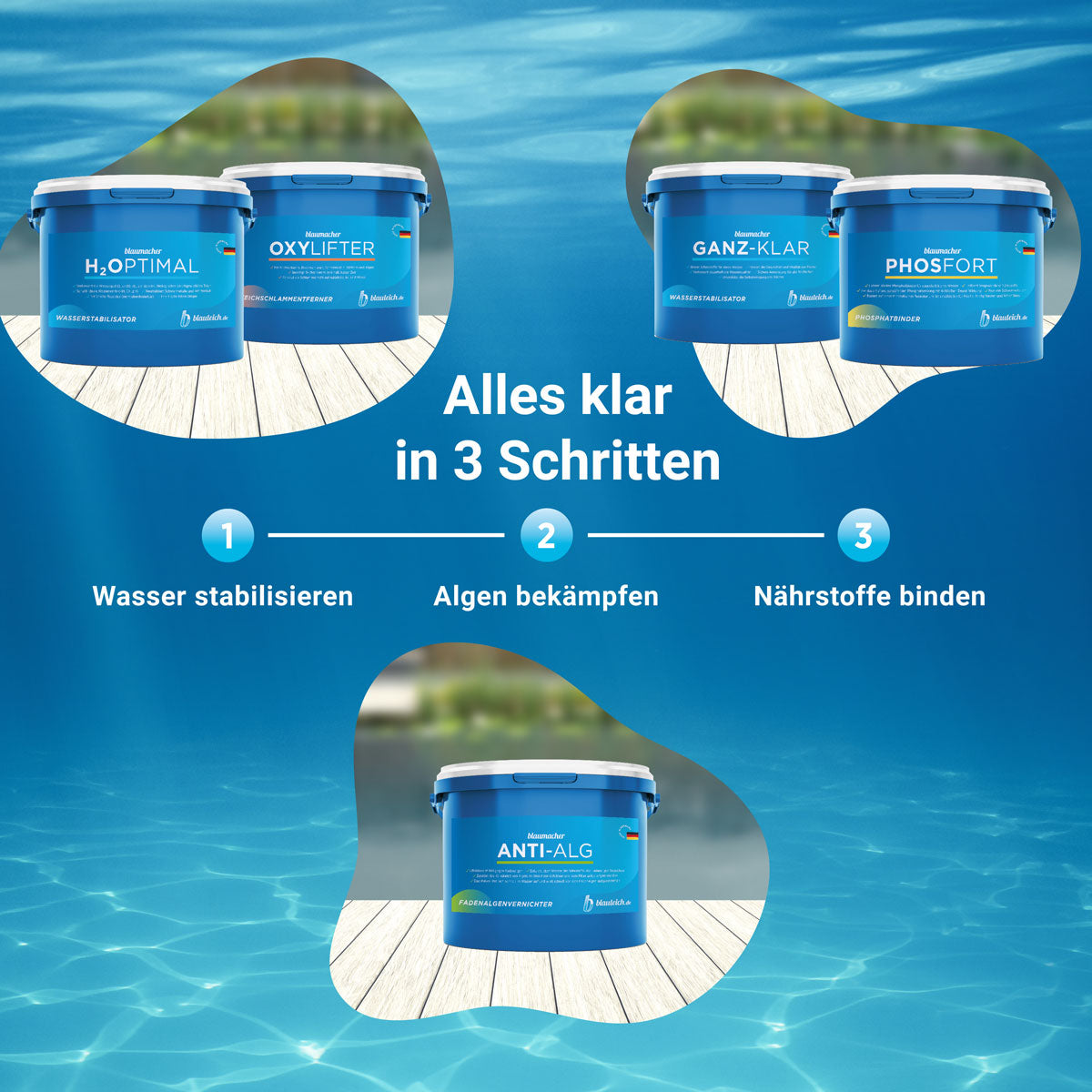 blauteich-anti-alg-5-schritte