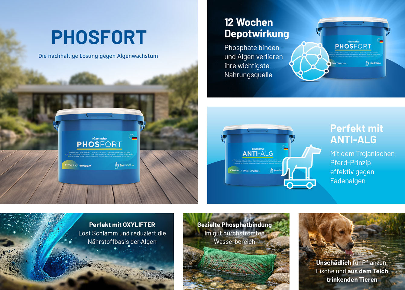 blaumacher PHOSFORT Phosphatbinder Produktvorteile Desktop