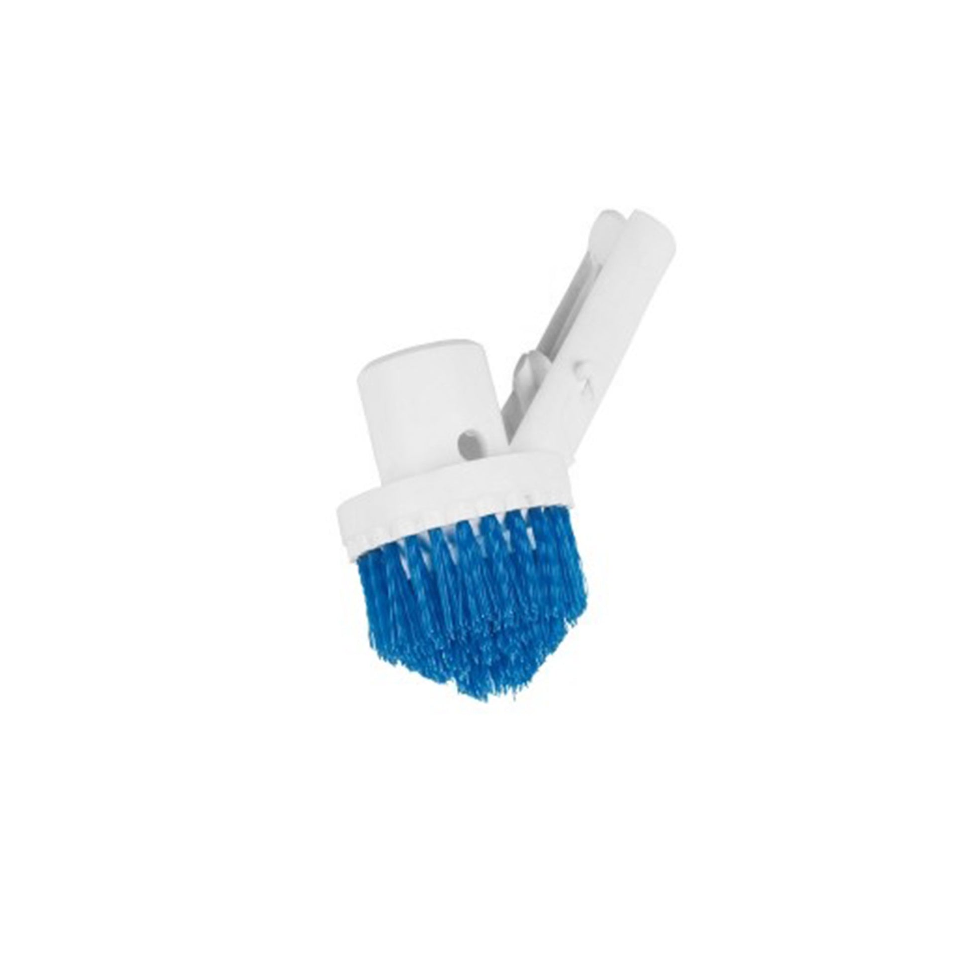 blauteich-eckbuerste-teich-pool-01