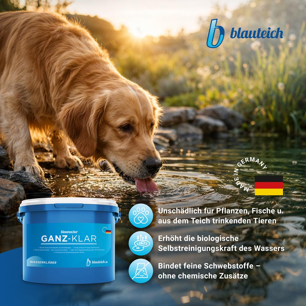 blauteich-ganzklar-2-benefits