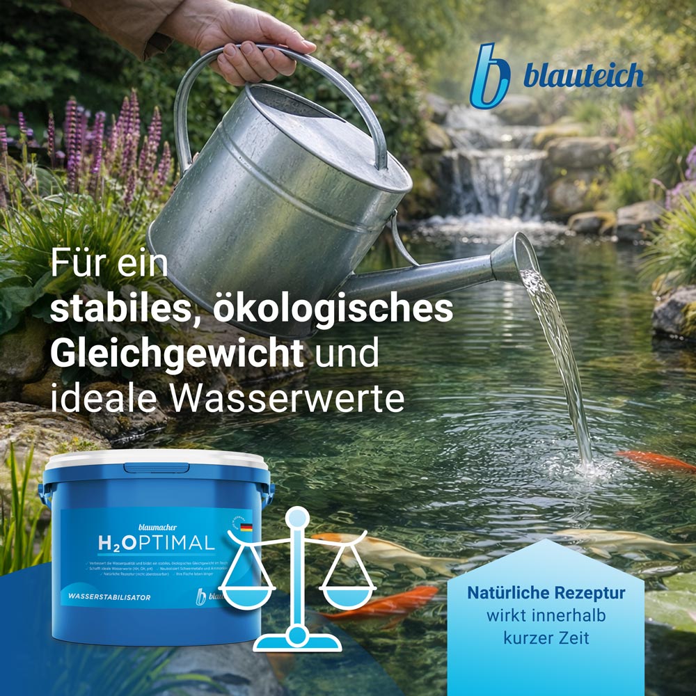 blauteich-h2optimal-0-keyfact