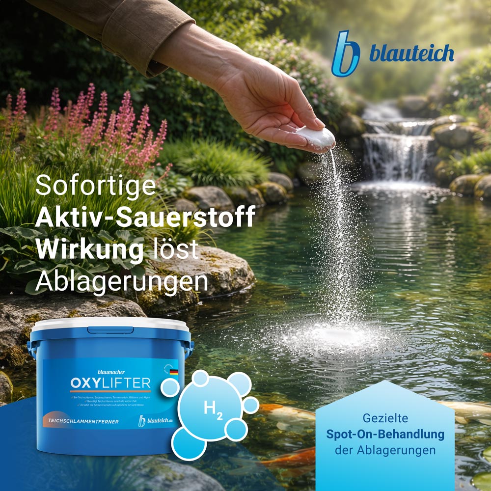 blauteich-oxylifter-0-keyfact