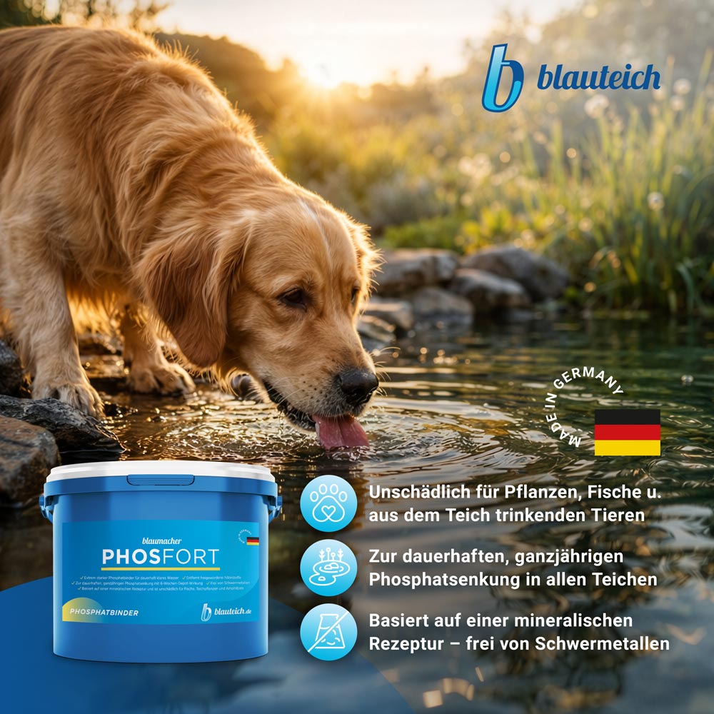 blauteich-phosfort-2-unschaedlich