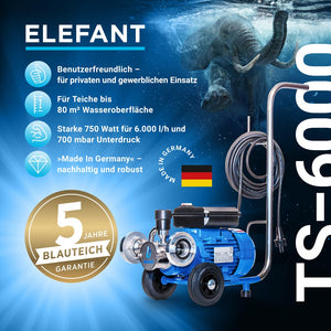 blauteich-teichschlammsauger-benefits-ts-6000