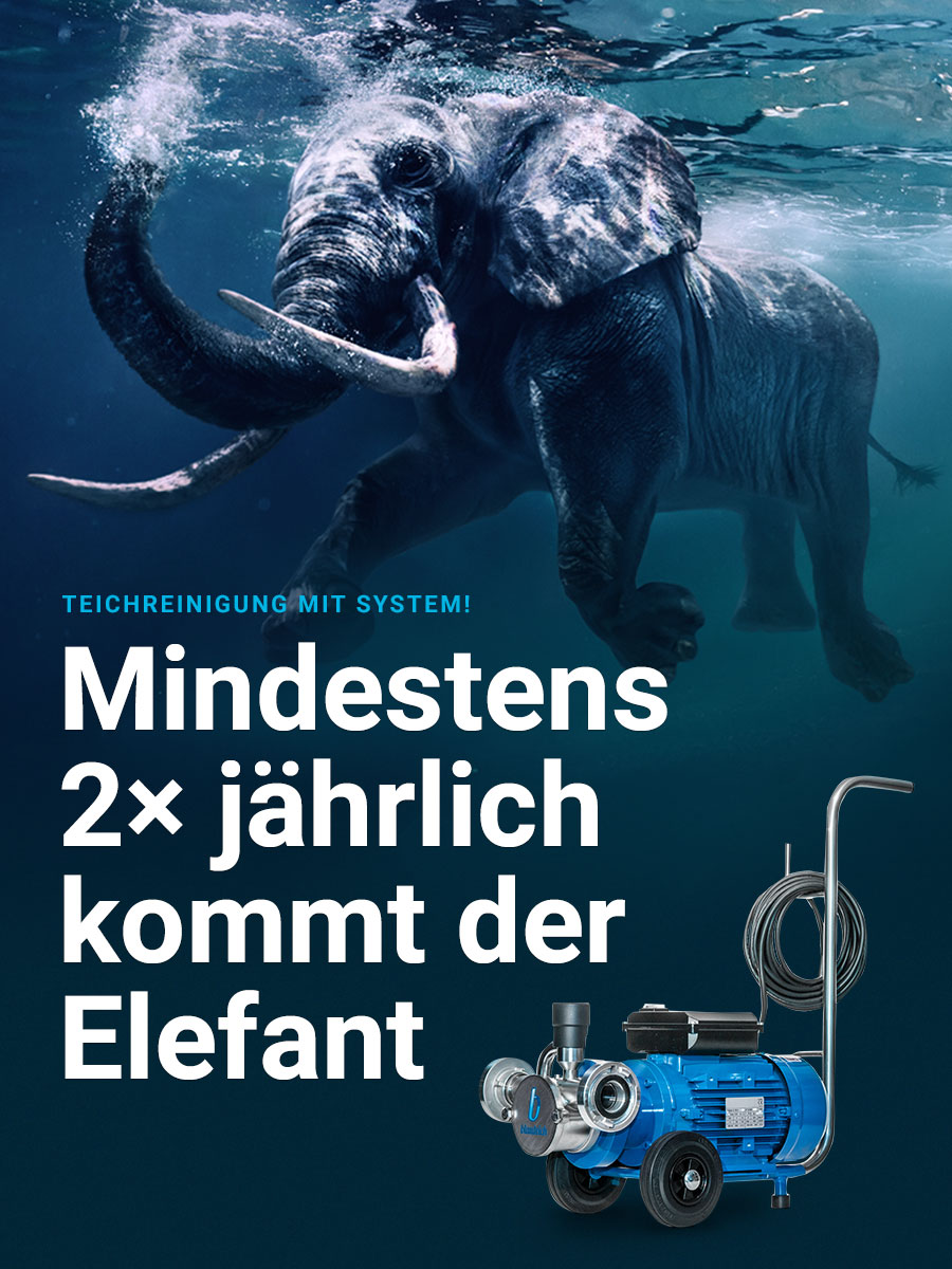 Blauteich Elefant Teichschlammsauger Made In Germany