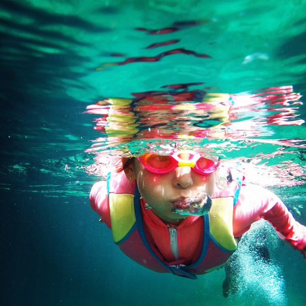 der-badespass-im-eigenen-schwimmteich