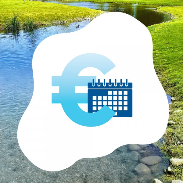 was-kostet-ein-teich-pro-jahr