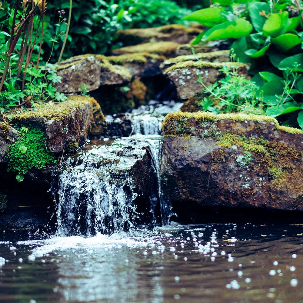 Einen Teich mit Bachlauf anlegen blauteich.de