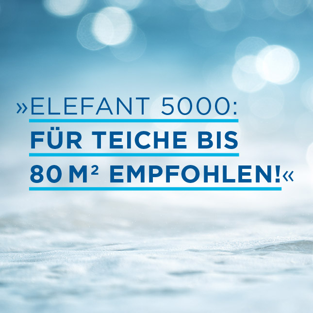 Teichschlammsauger Für Teiche bis 80 m2