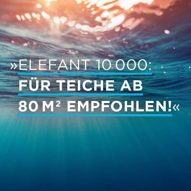 Teichschlammsauger für Teiche ab 80 m2