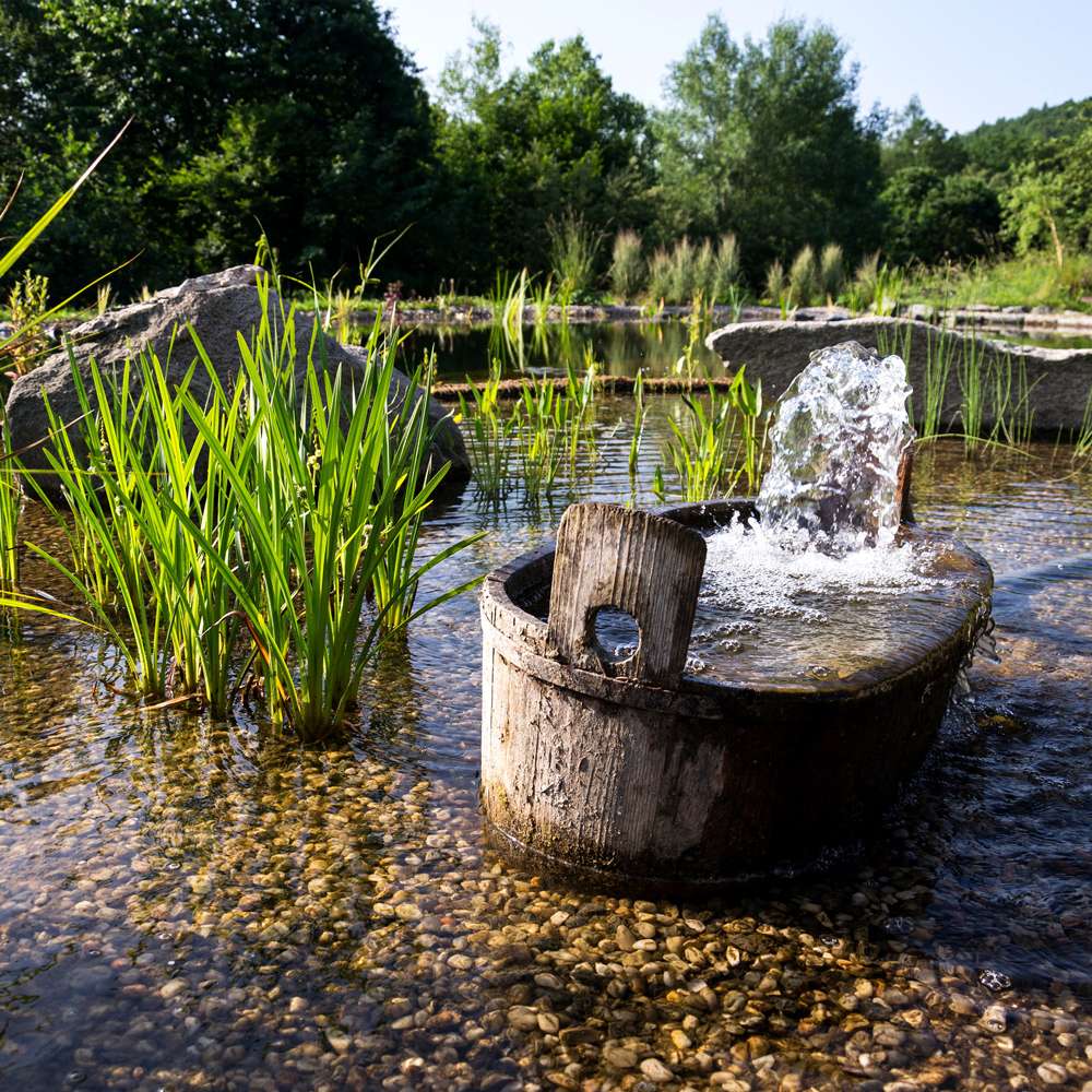 Biologische Teichreinigung durch einen Filtergraben blauteich.de
