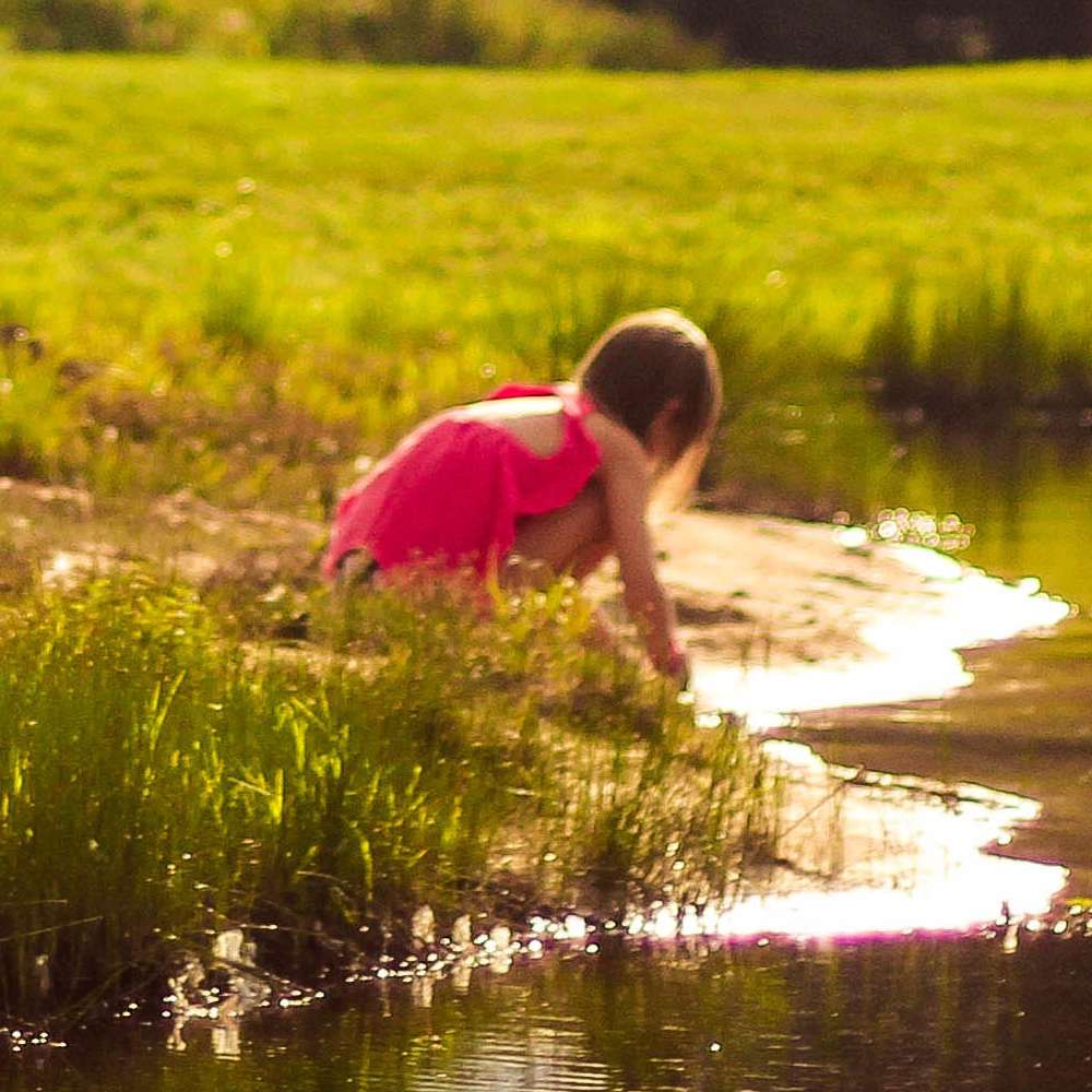 Den Gartenteich kindersicher machen blauteich.de