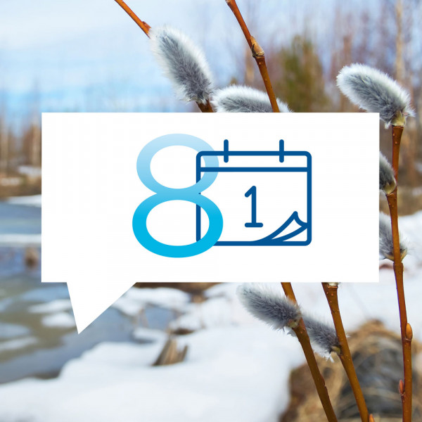 blauteich-ratgeber-8-wichtigsten-teicharbeiten-im-maerz