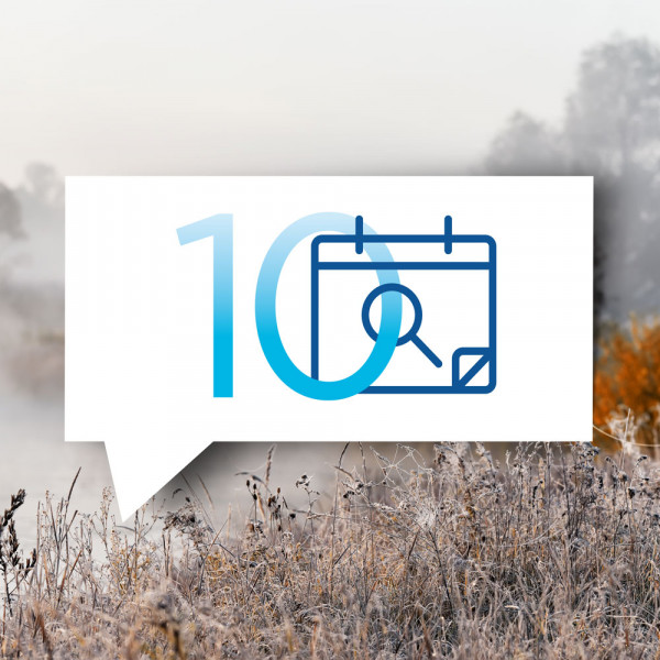 blauteich-ratgeber-10-wichtigsten-teicharbeiten-im-november