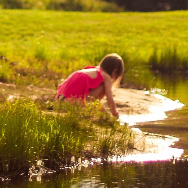 teich-kindersicher-machen