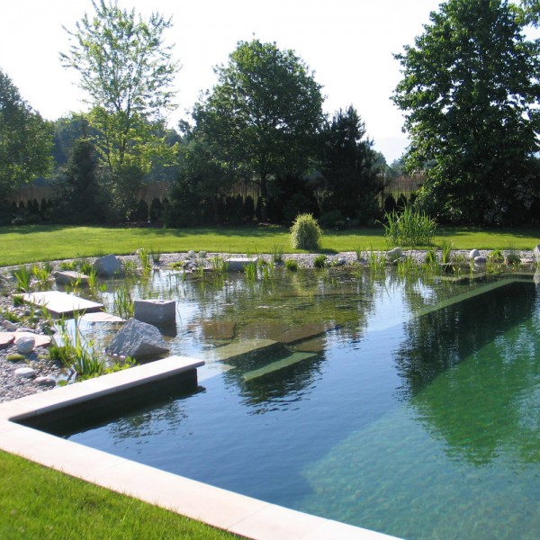 schwimmteich-vs-naturpool