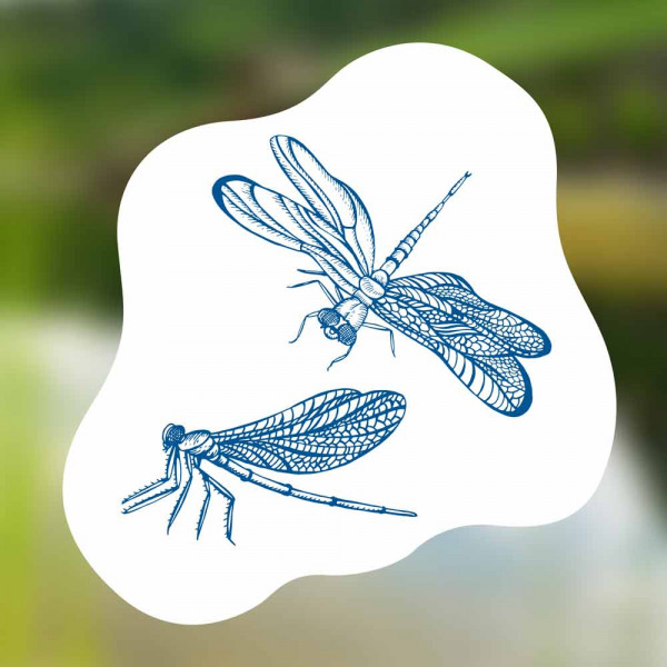 blauteich-ratgeber-libellen-am-gartenteich