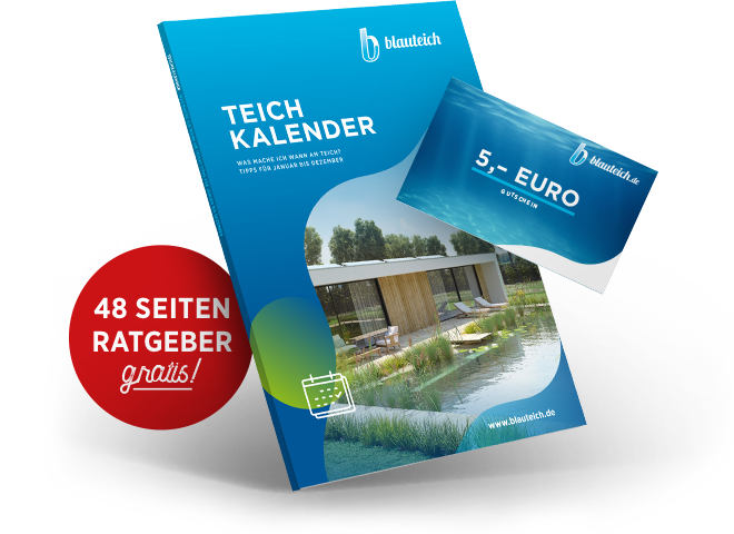 Whitepaper Teichkalender